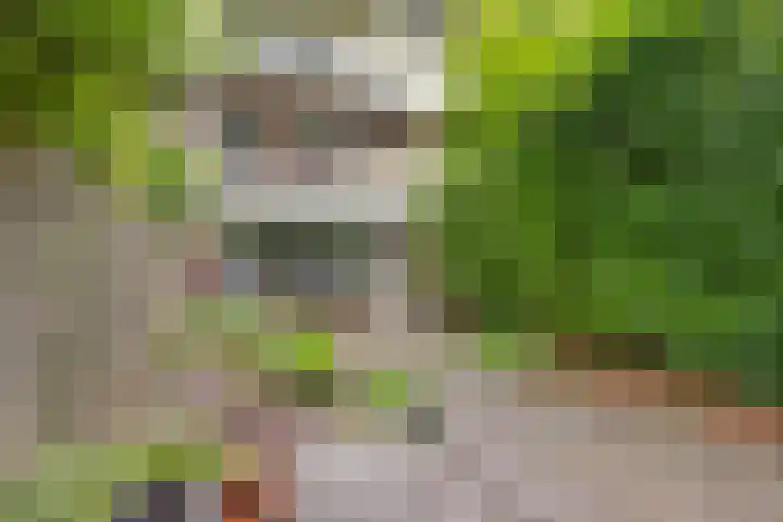 Eekschillersdreef 525 Apeldoorn thumbnail 32