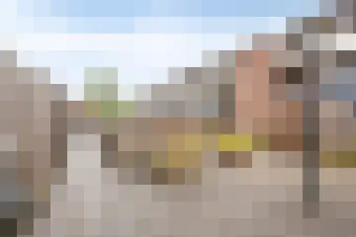 Eekschillersdreef 525 Apeldoorn thumbnail 36