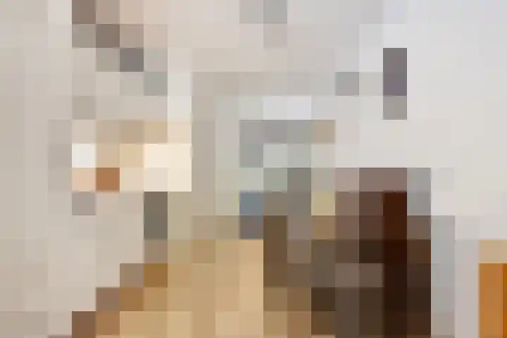 Eekschillersdreef 525 Apeldoorn thumbnail 4