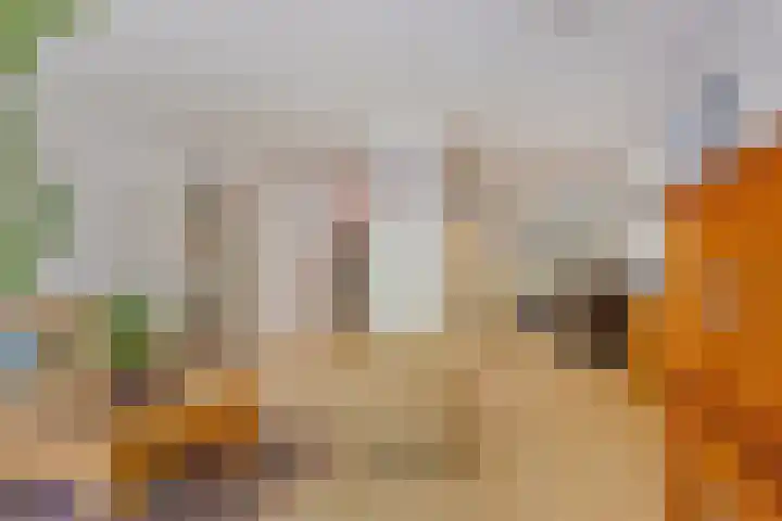 Eekschillersdreef 525 Apeldoorn thumbnail 7
