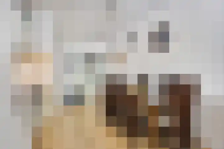 Eekschillersdreef 525 Apeldoorn thumbnail 8