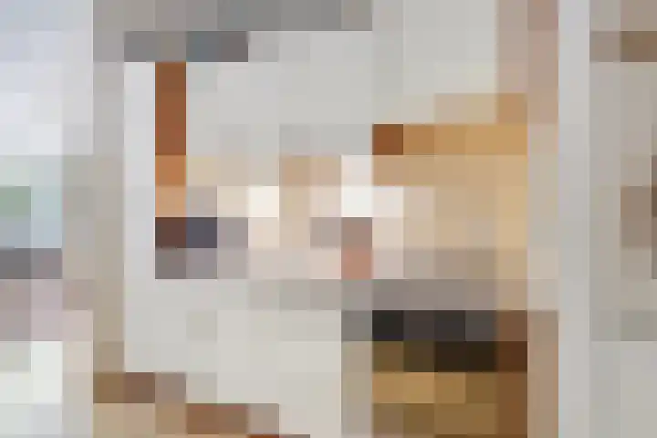 Eekschillersdreef 525 Apeldoorn thumbnail 9