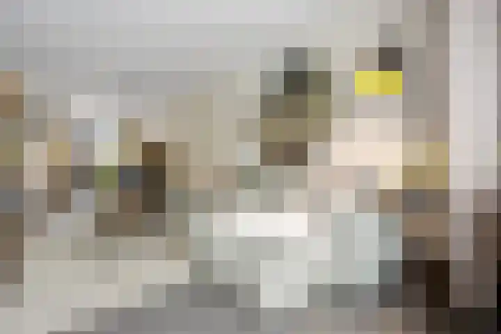 Eekschillerslaan 26 Voorthuizen thumbnail 11