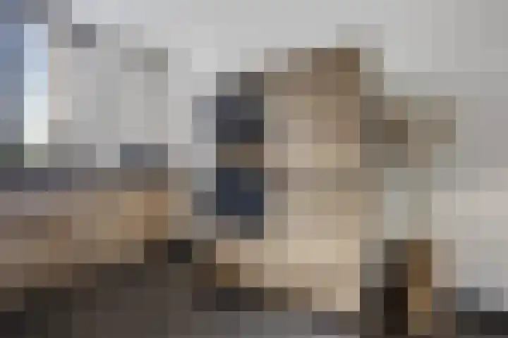 Eekschillerslaan 26 Voorthuizen thumbnail 15