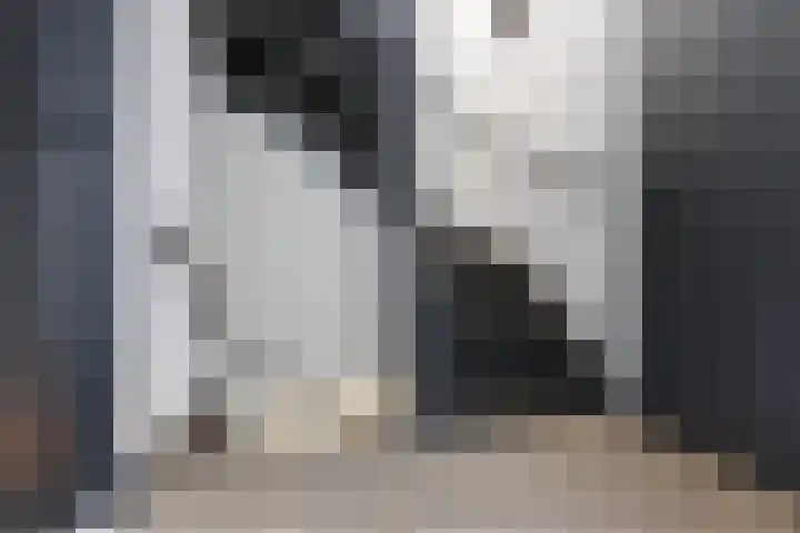Eekschillerslaan 26 Voorthuizen thumbnail 17