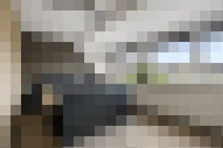Eekschillerslaan 26 Voorthuizen thumbnail 18