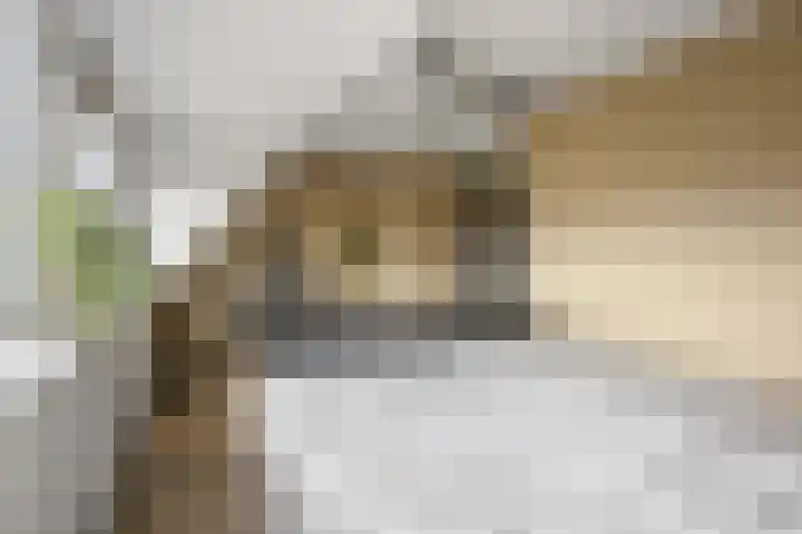 Eekschillerslaan 26 Voorthuizen thumbnail 19
