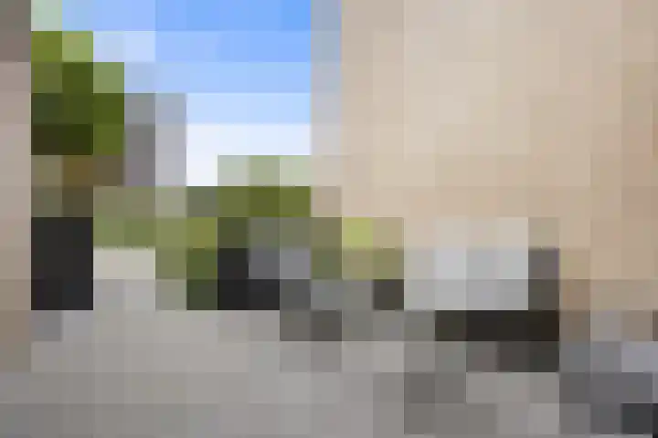 Eekschillerslaan 26 Voorthuizen foto 2