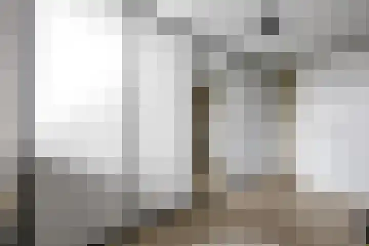 Eekschillerslaan 26 Voorthuizen thumbnail 20