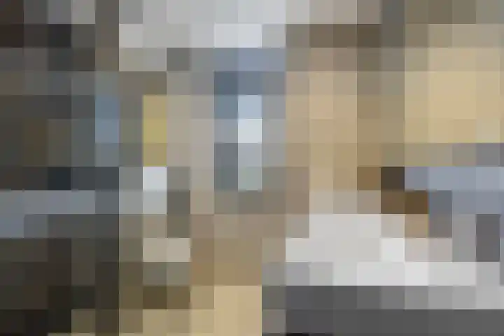 Eekschillerslaan 26 Voorthuizen thumbnail 22