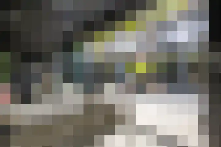 Eekschillerslaan 26 Voorthuizen thumbnail 31