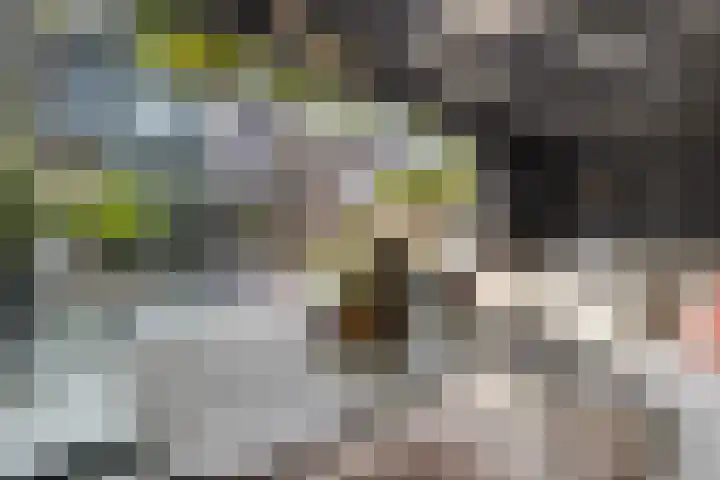 Eekschillerslaan 26 Voorthuizen thumbnail 33