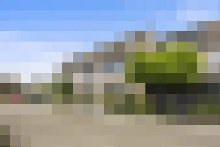 Eekschillerslaan 26 Voorthuizen thumbnail 34