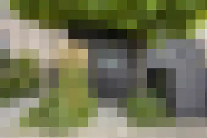 Eekschillerslaan 26 Voorthuizen thumbnail 35