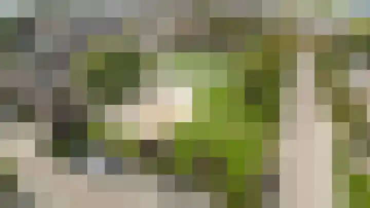 Eekschillerslaan 26 Voorthuizen thumbnail 4