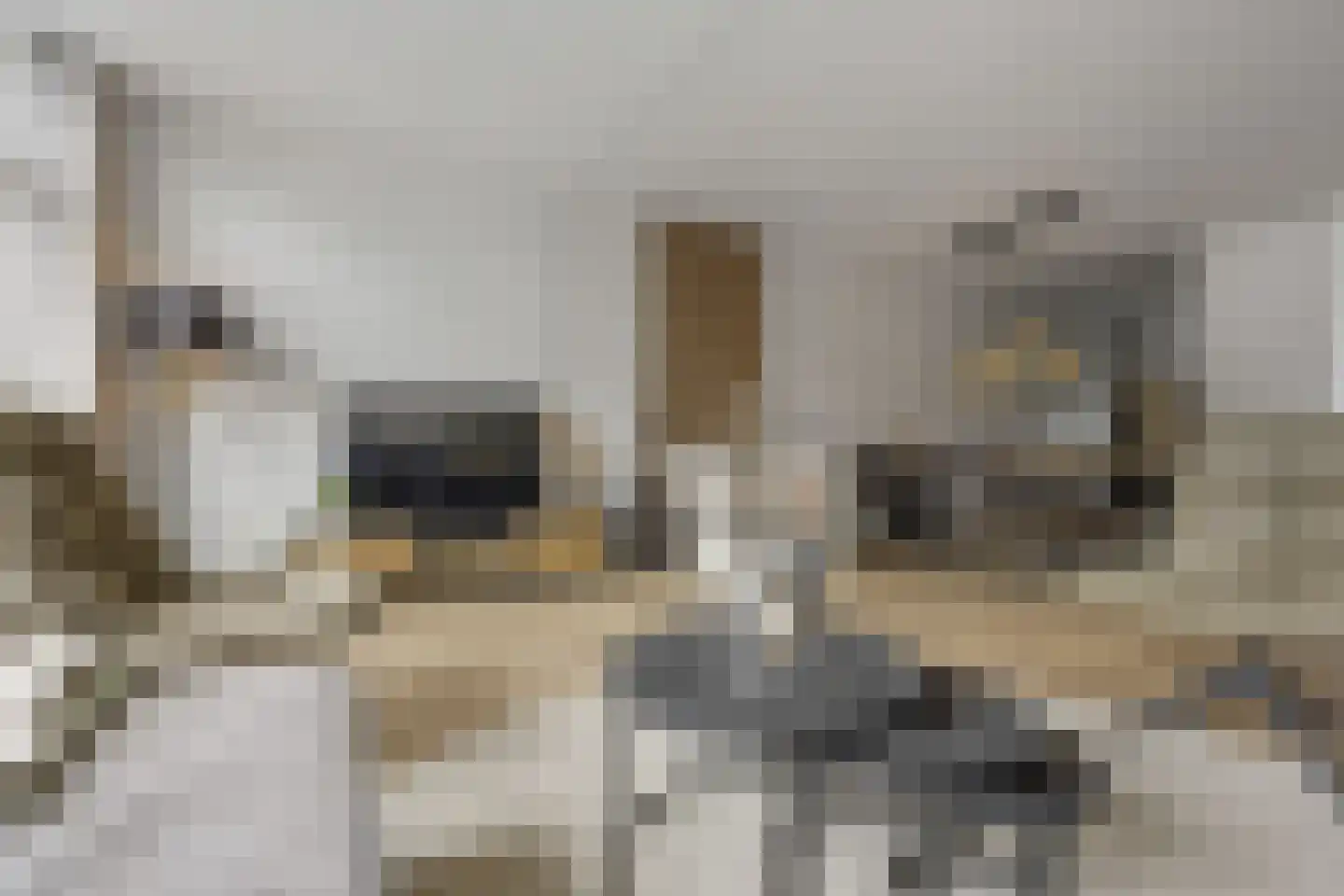 Eekschillerslaan 3 Voorthuizen thumbnail 11