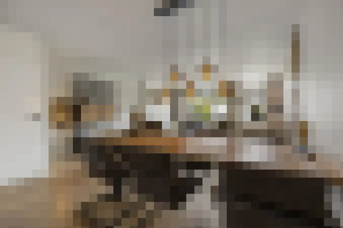 Eekschillerslaan 3 Voorthuizen thumbnail 12