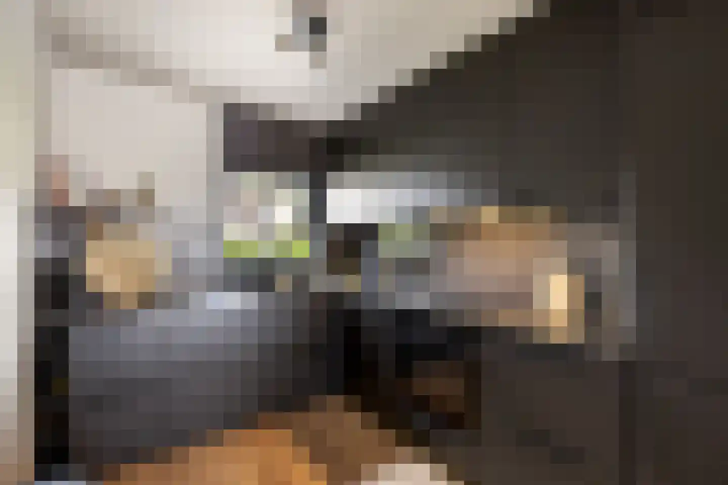 Eekschillerslaan 3 Voorthuizen thumbnail 14
