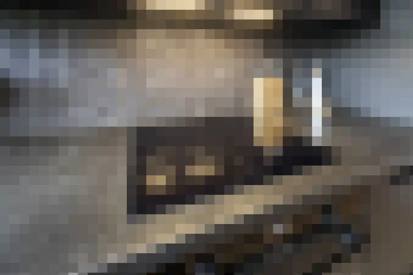 Eekschillerslaan 3 Voorthuizen thumbnail 16