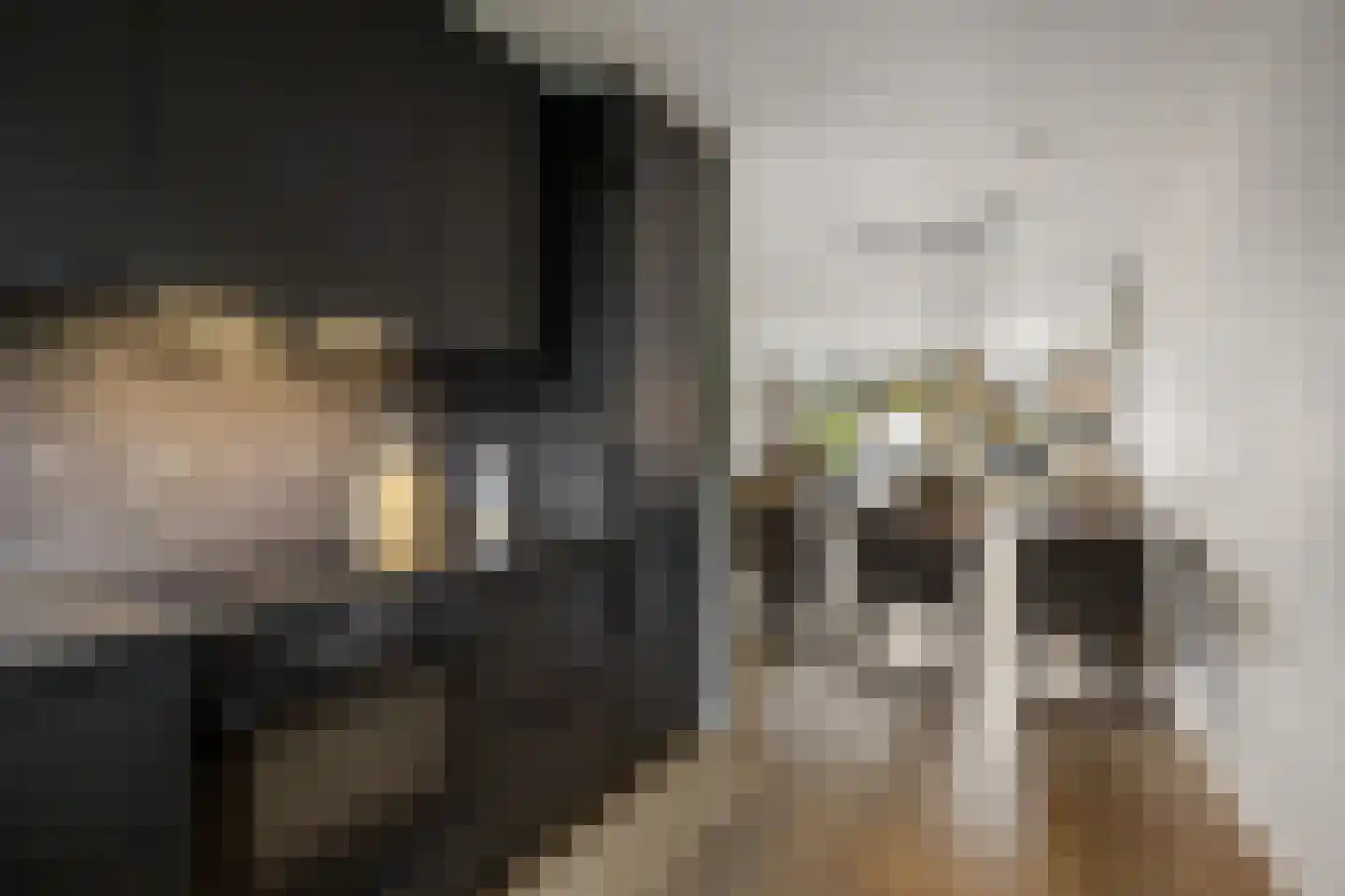 Eekschillerslaan 3 Voorthuizen thumbnail 17