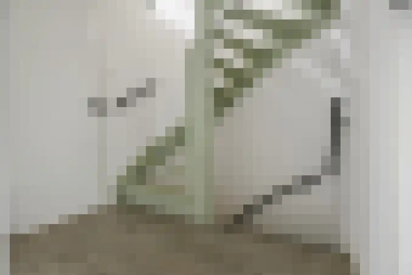 Eekschillerslaan 3 Voorthuizen thumbnail 18