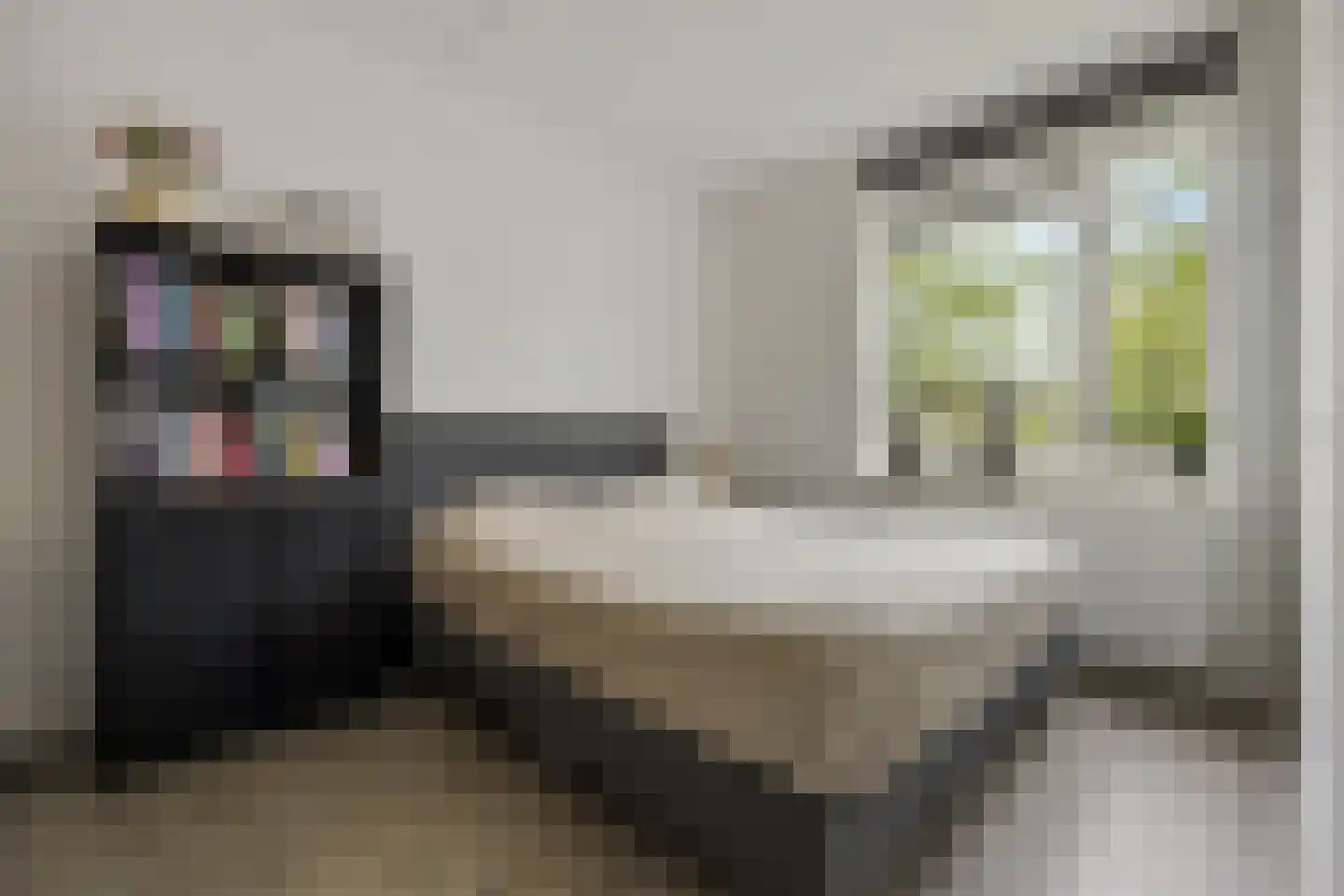Eekschillerslaan 3 Voorthuizen thumbnail 19