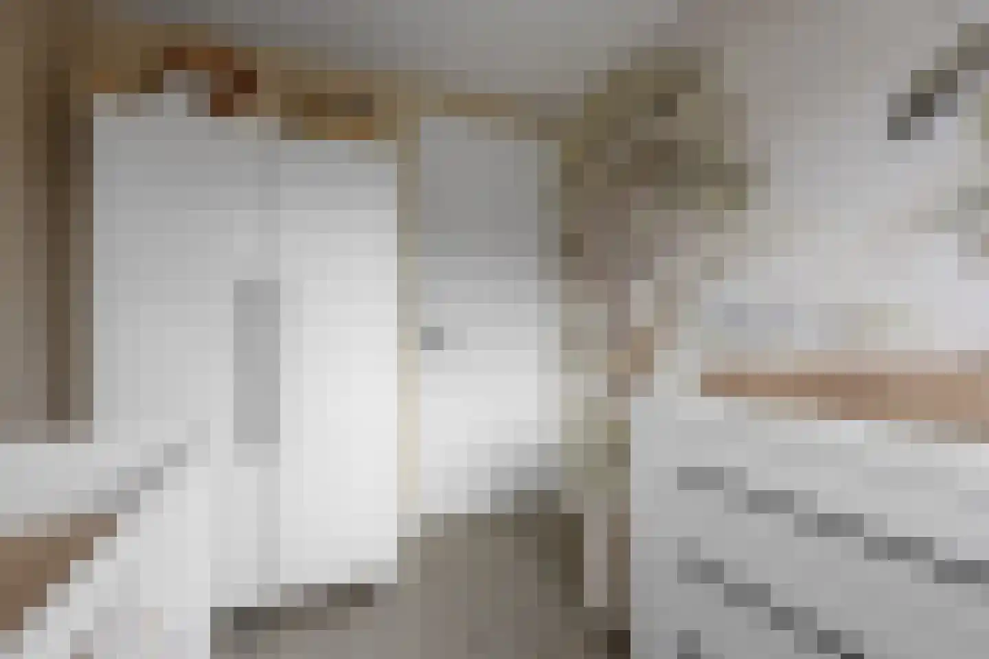 Eekschillerslaan 3 Voorthuizen thumbnail 22
