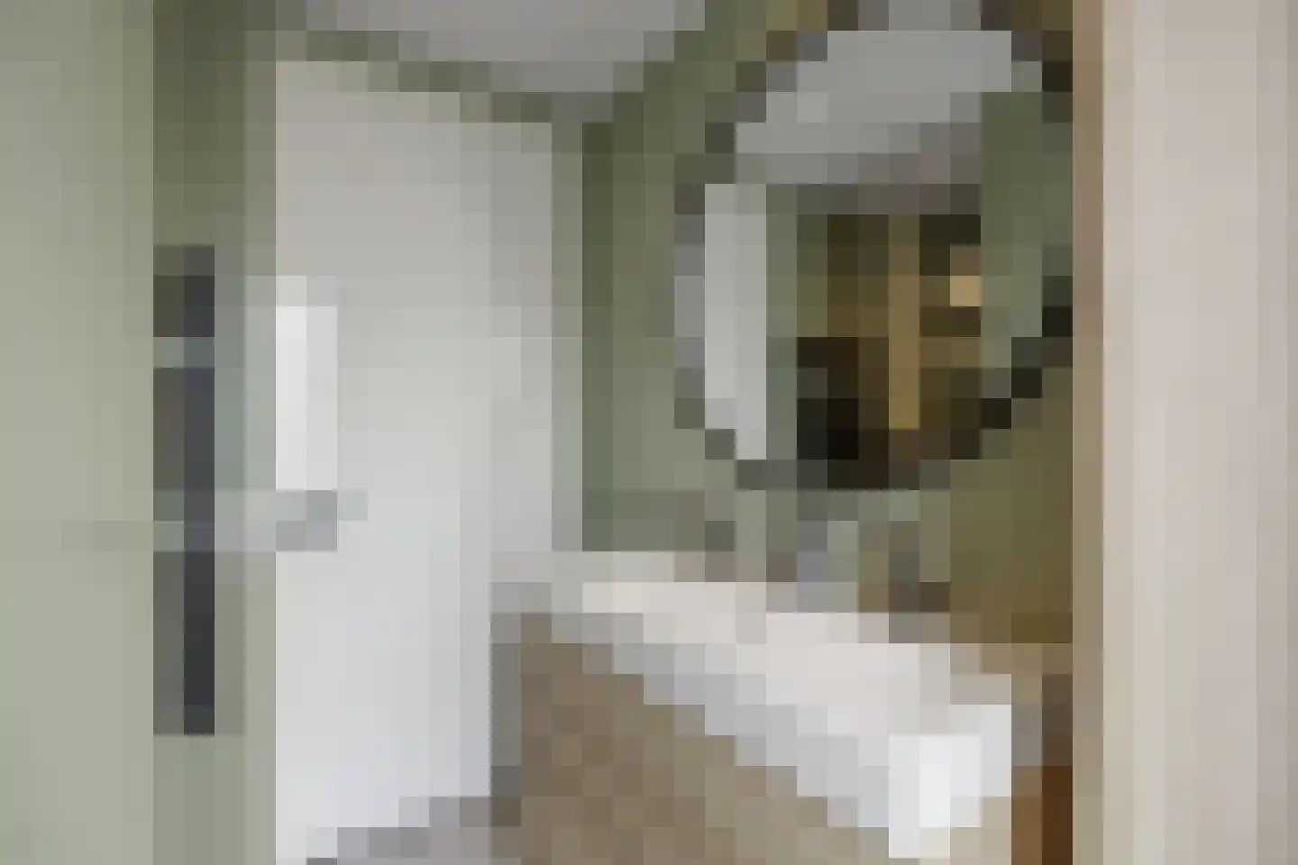 Eekschillerslaan 3 Voorthuizen thumbnail 26