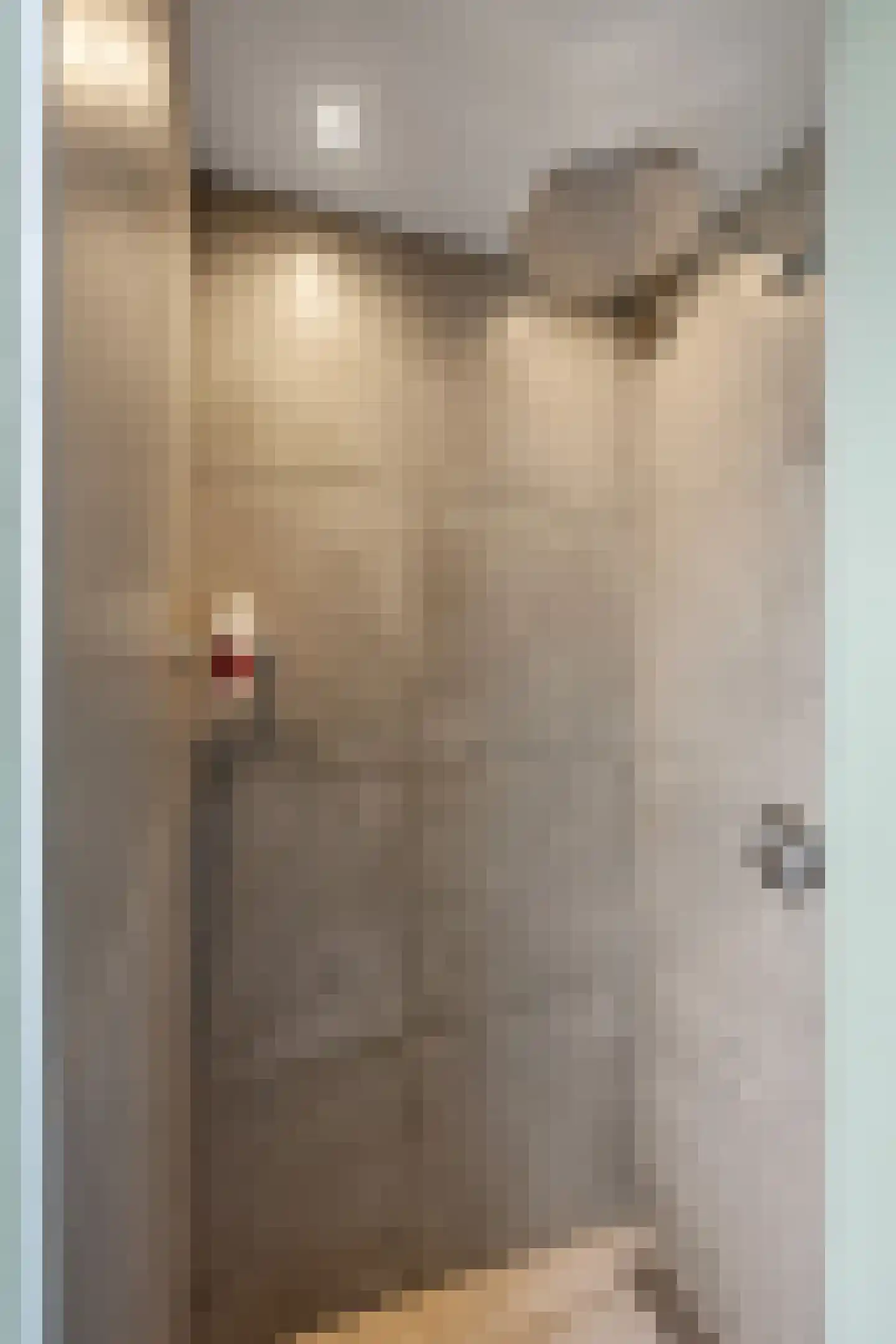 Eekschillerslaan 3 Voorthuizen thumbnail 28