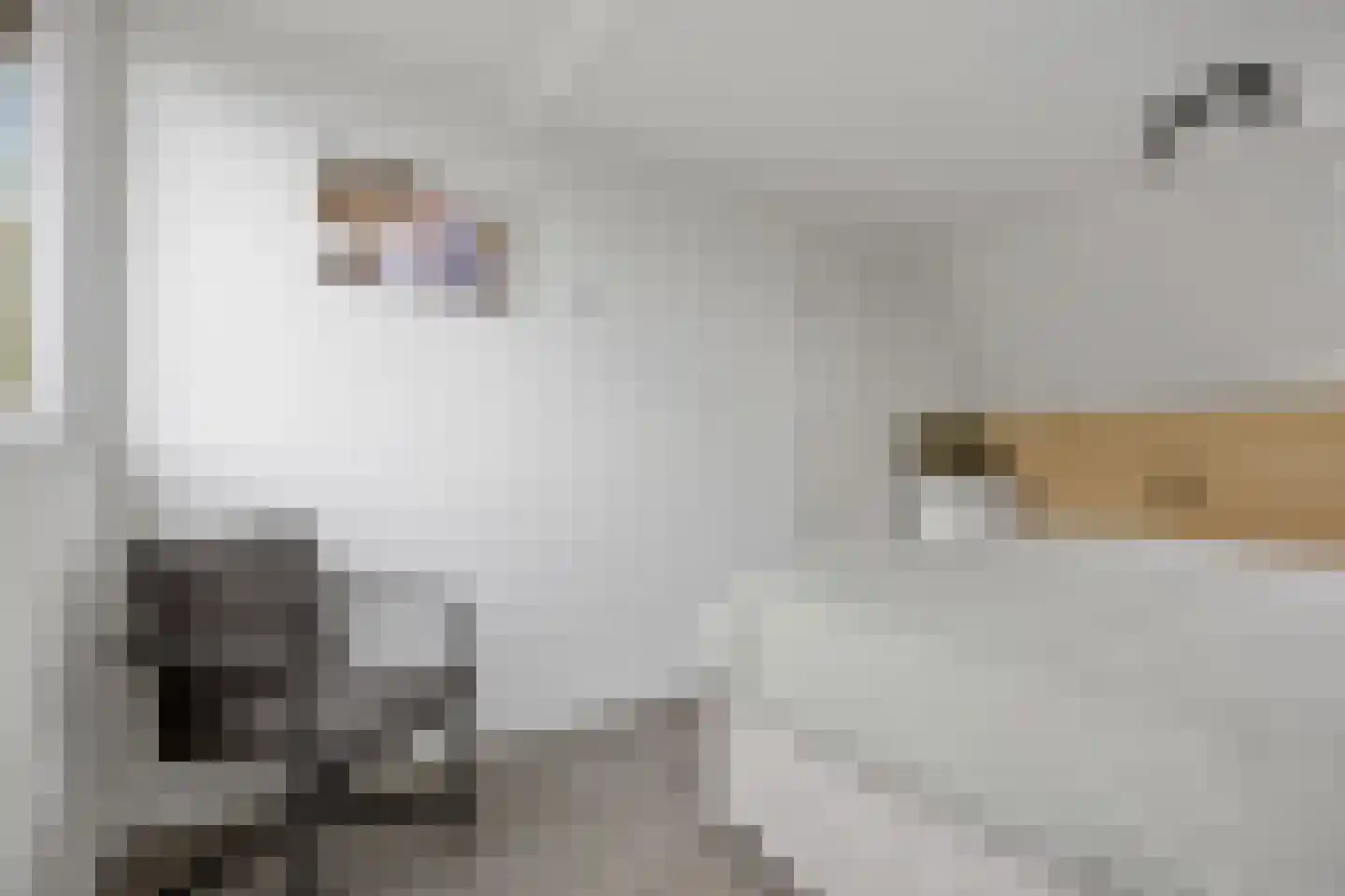 Eekschillerslaan 3 Voorthuizen thumbnail 31