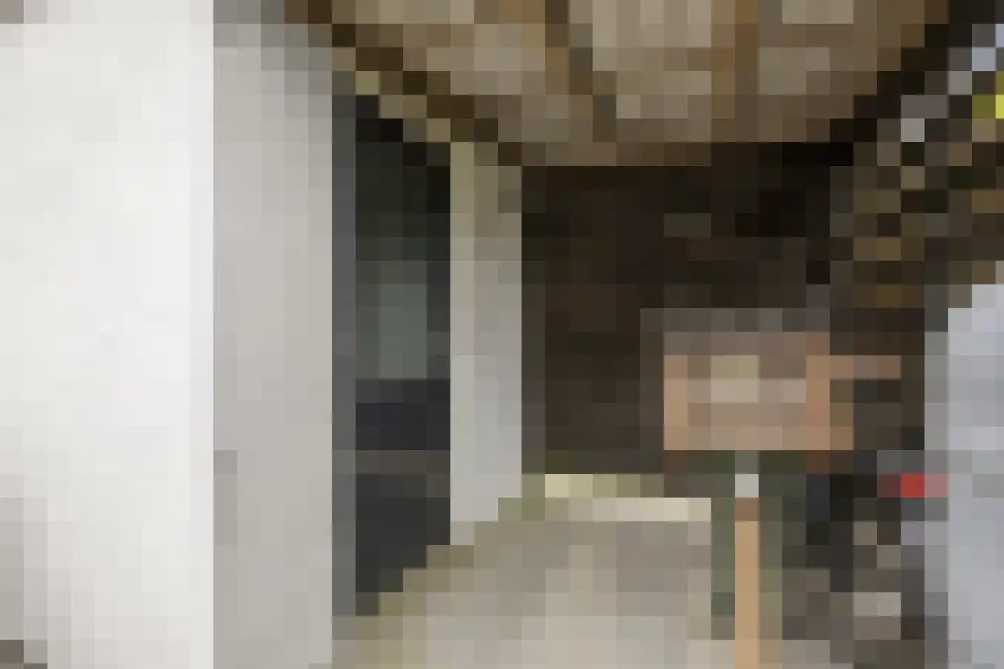Eekschillerslaan 3 Voorthuizen thumbnail 38