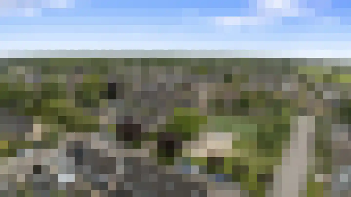 Eekschillerslaan 3 Voorthuizen thumbnail 4