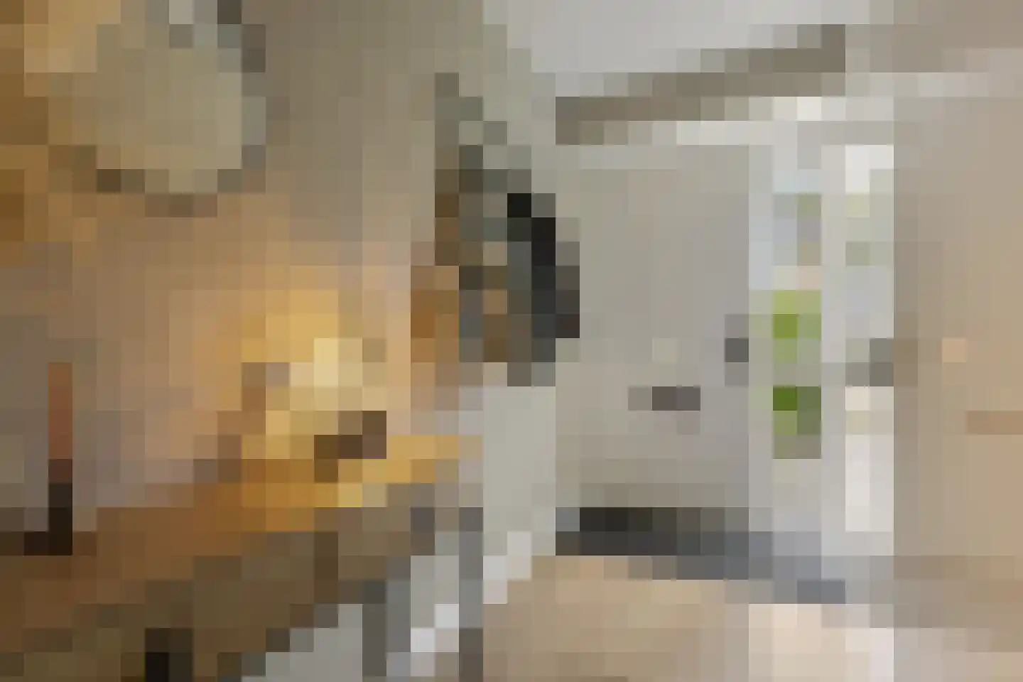 Eekschillerslaan 3 Voorthuizen thumbnail 6