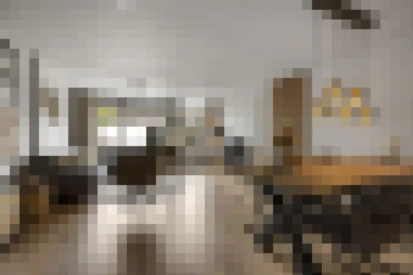 Eekschillerslaan 3 Voorthuizen thumbnail 8