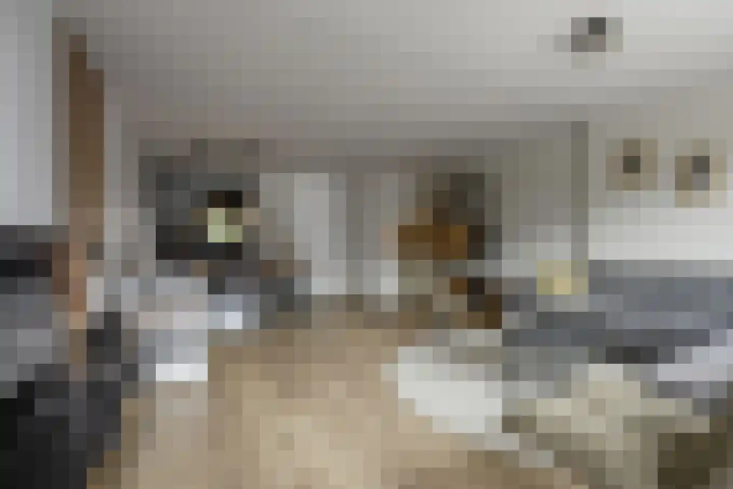 Eekschillerslaan 3 Voorthuizen thumbnail 9