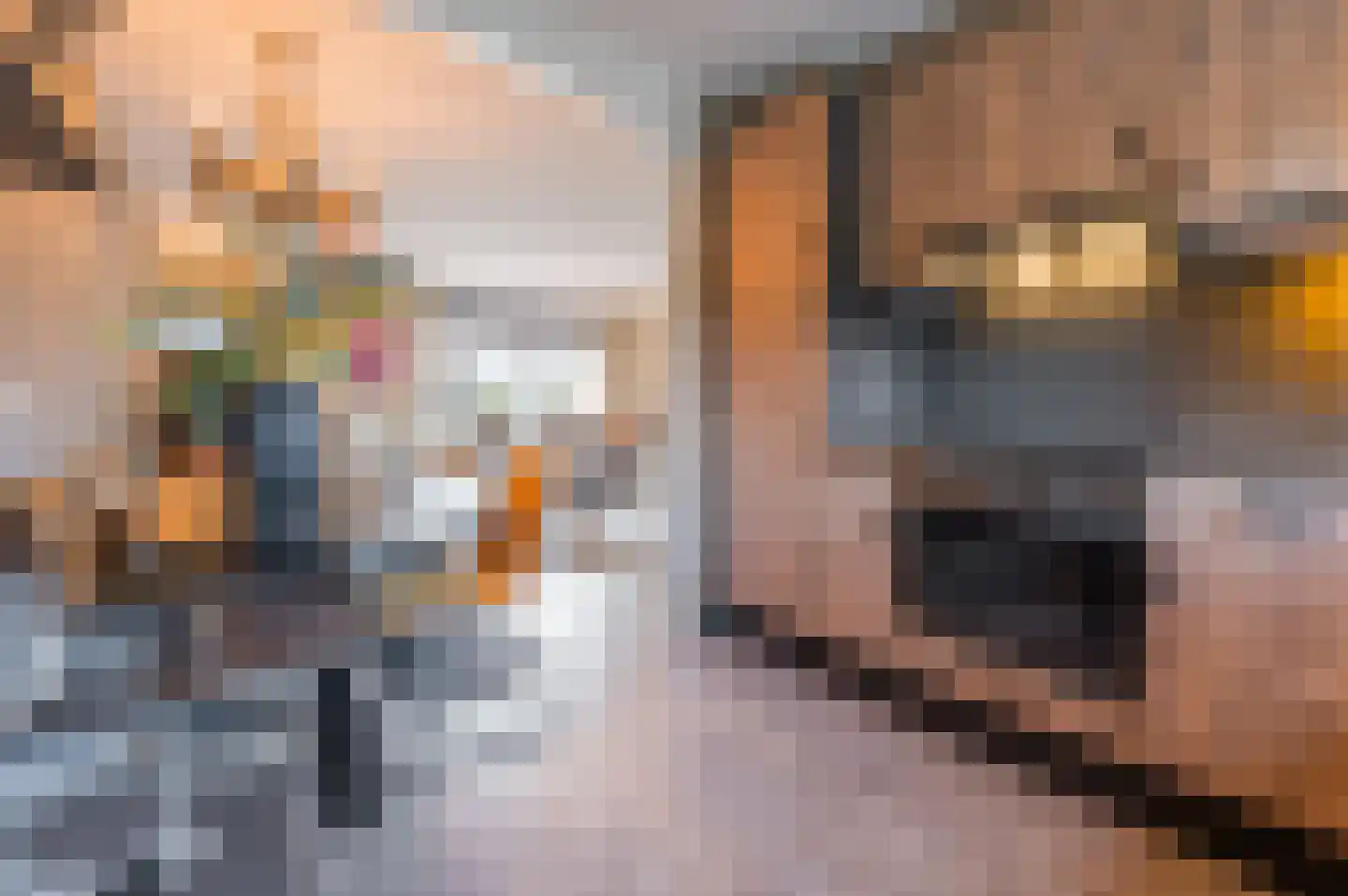 Eekschillerslaan 30 Voorthuizen thumbnail 12