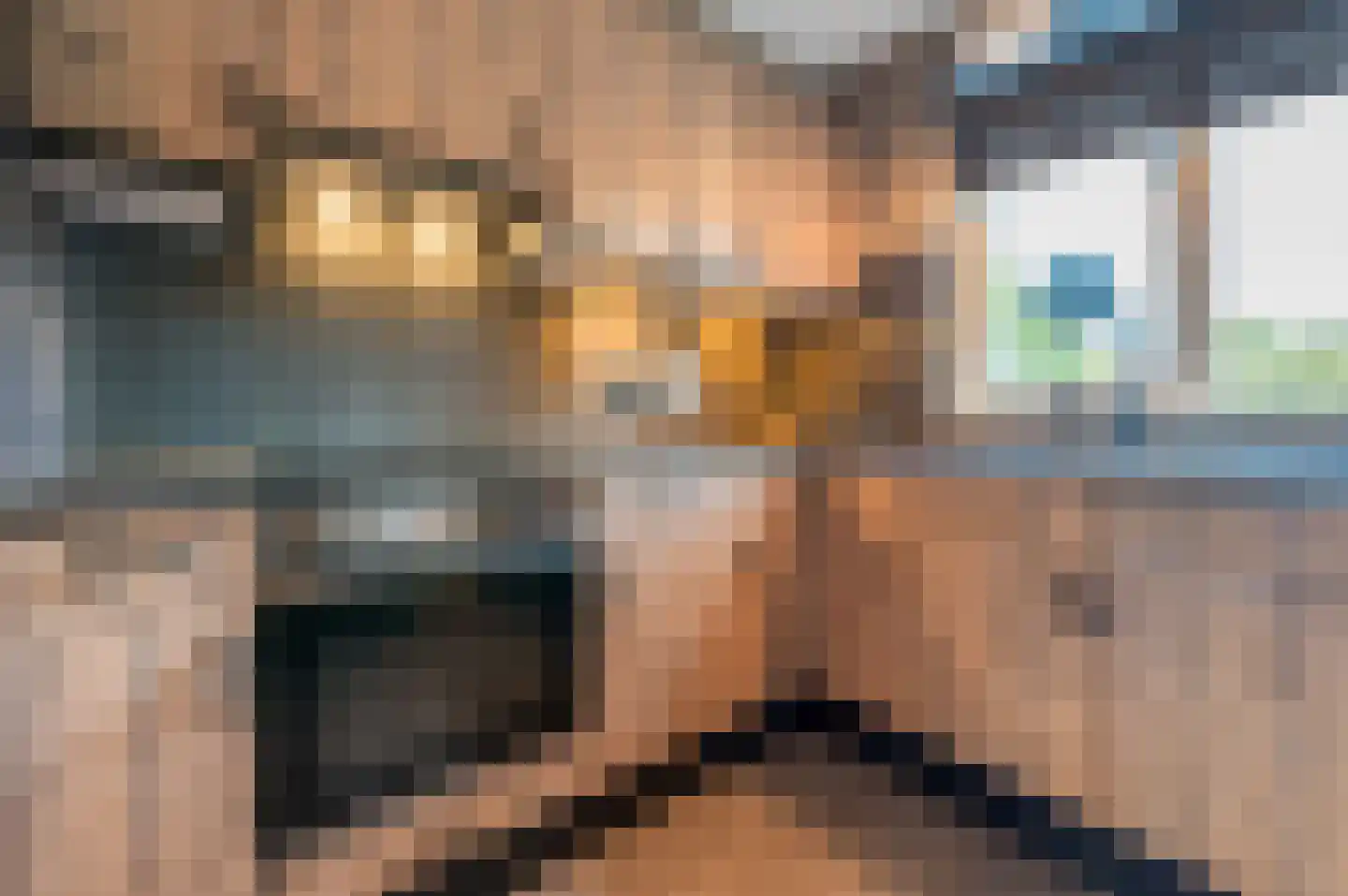 Eekschillerslaan 30 Voorthuizen foto 2