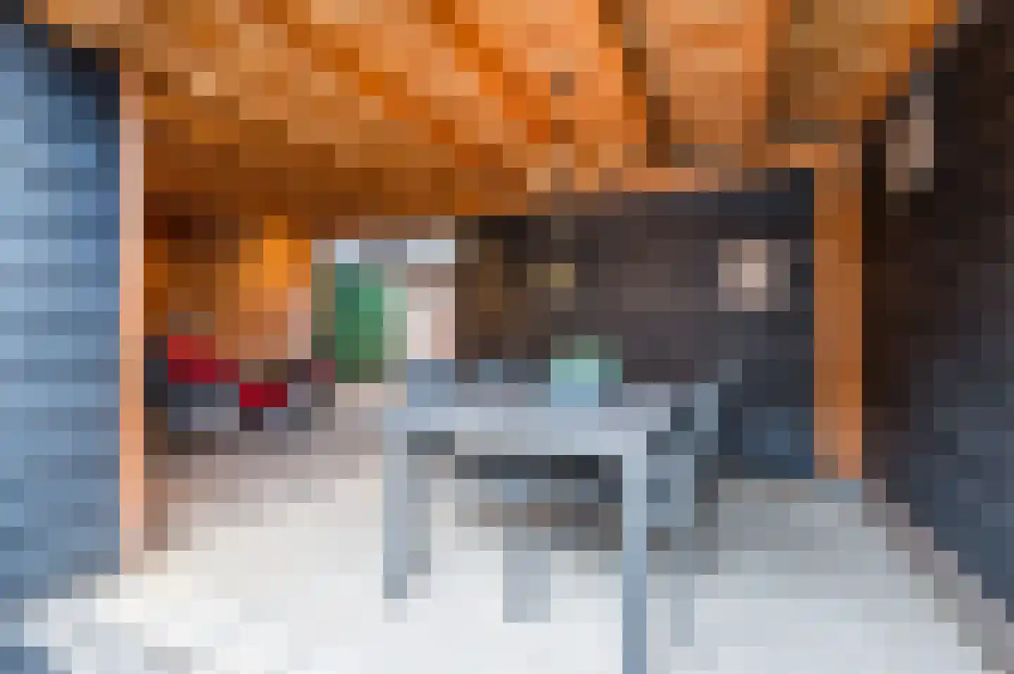 Eekschillerslaan 30 Voorthuizen thumbnail 34