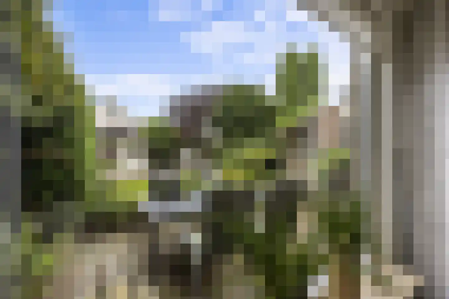 Eekschillerslaan 36 Voorthuizen thumbnail 10