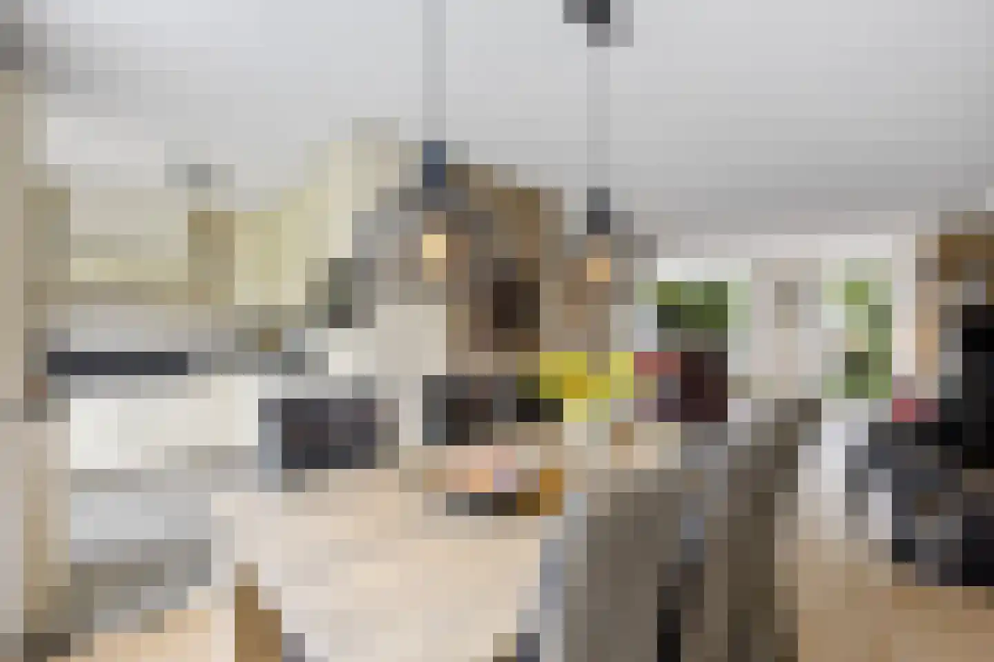 Eekschillerslaan 36 Voorthuizen thumbnail 11
