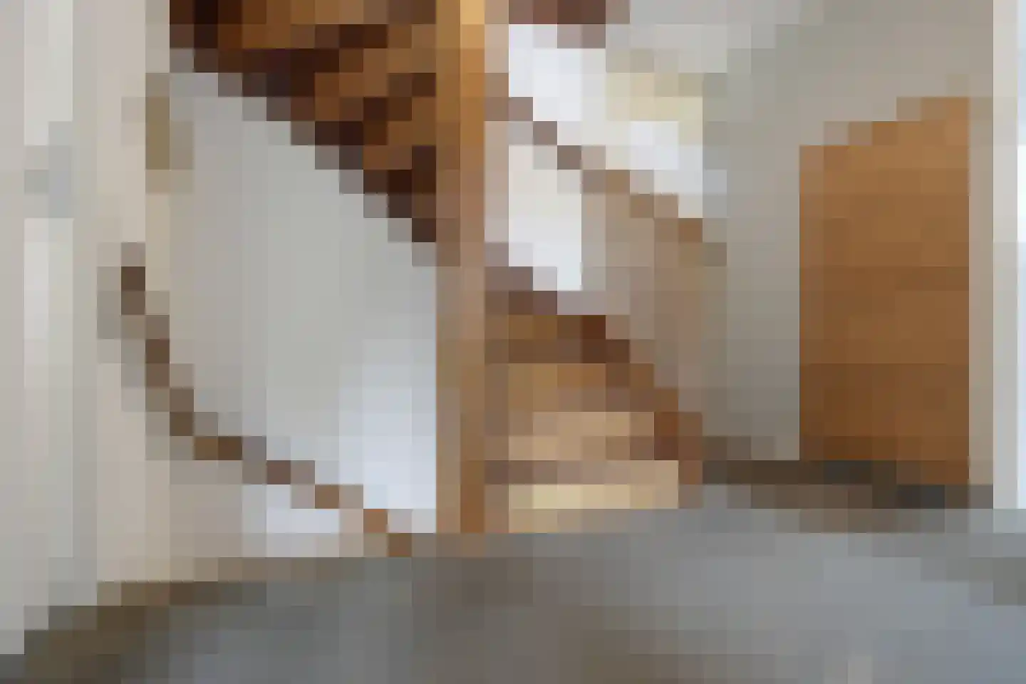 Eekschillerslaan 36 Voorthuizen thumbnail 15