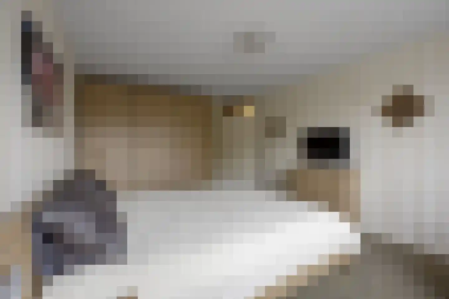 Eekschillerslaan 36 Voorthuizen thumbnail 17