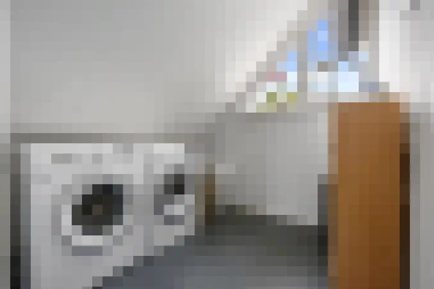 Eekschillerslaan 36 Voorthuizen thumbnail 21