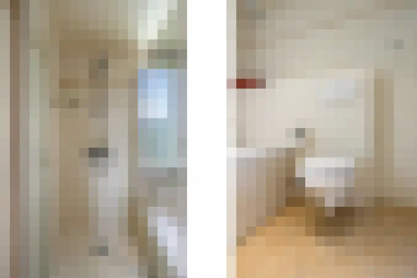Eekschillerslaan 36 Voorthuizen thumbnail 24
