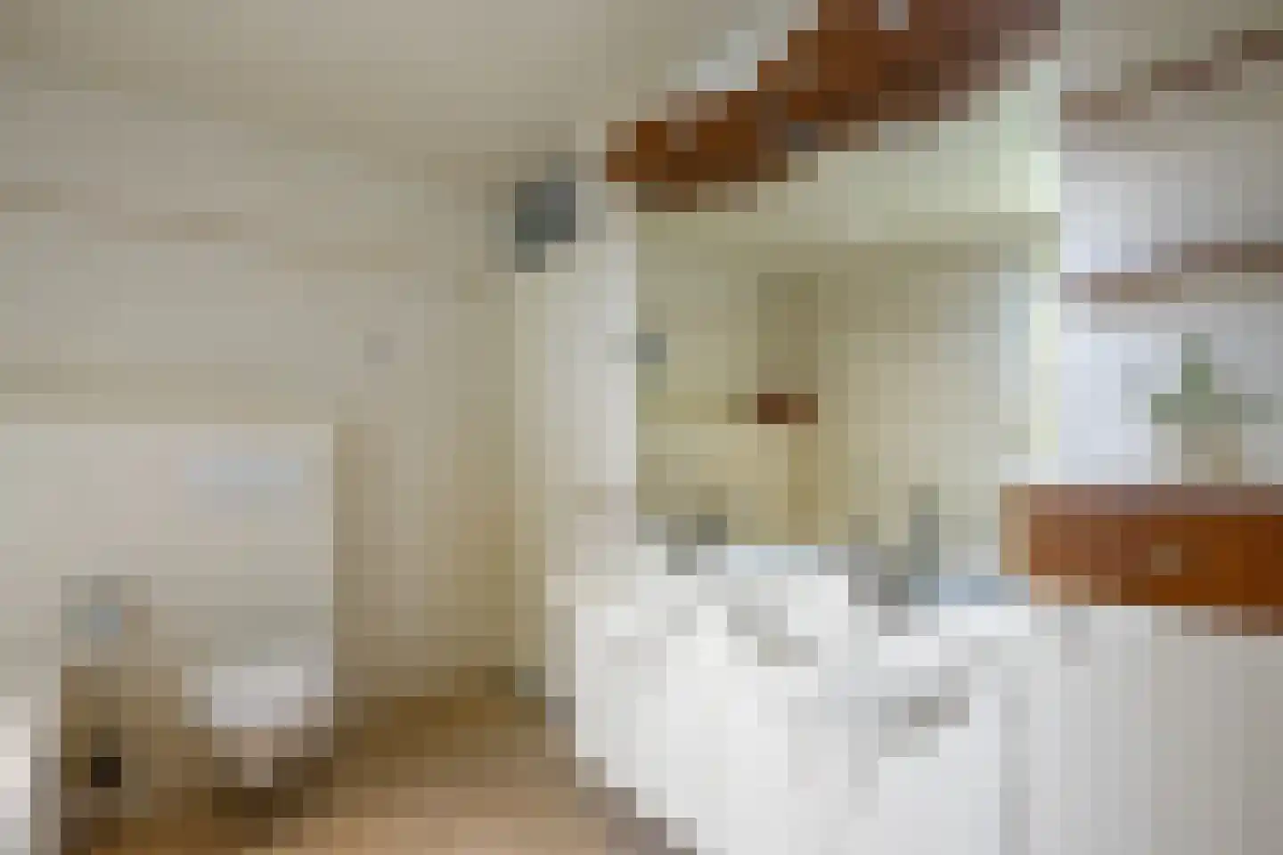 Eekschillerslaan 36 Voorthuizen thumbnail 25