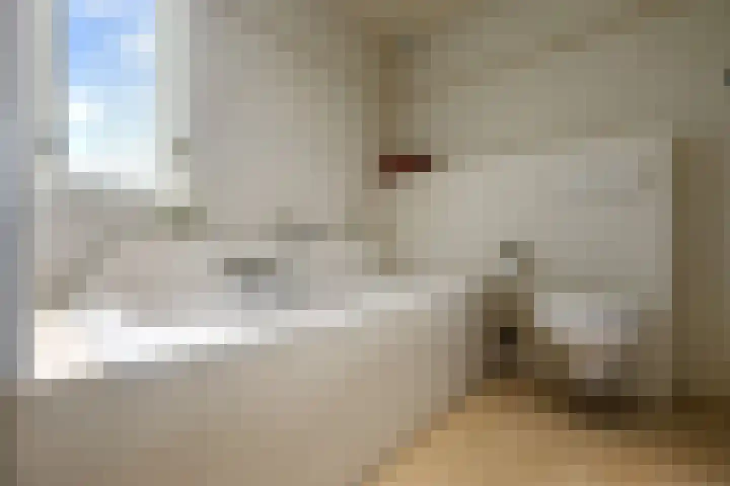 Eekschillerslaan 36 Voorthuizen thumbnail 26