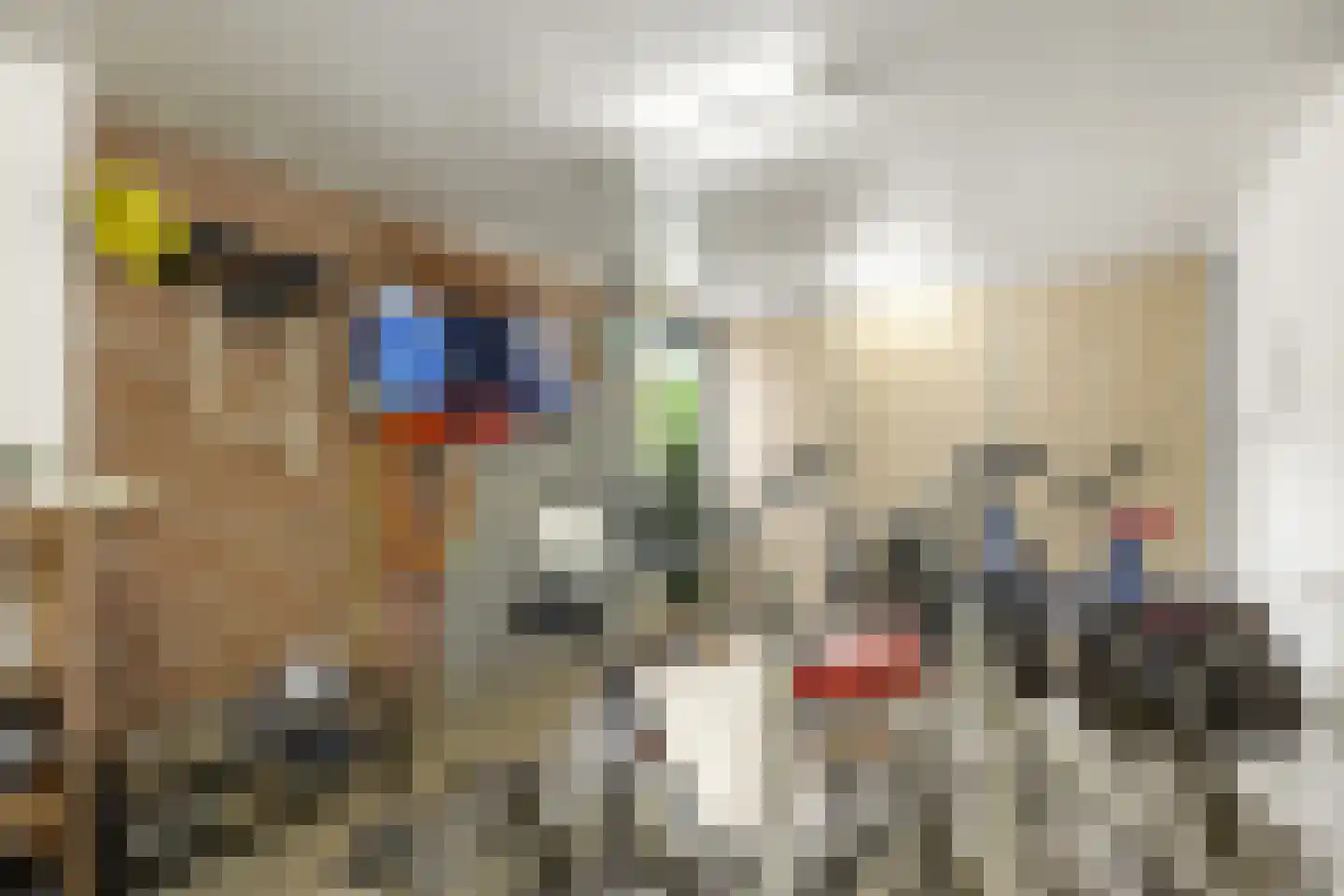 Eekschillerslaan 36 Voorthuizen thumbnail 37