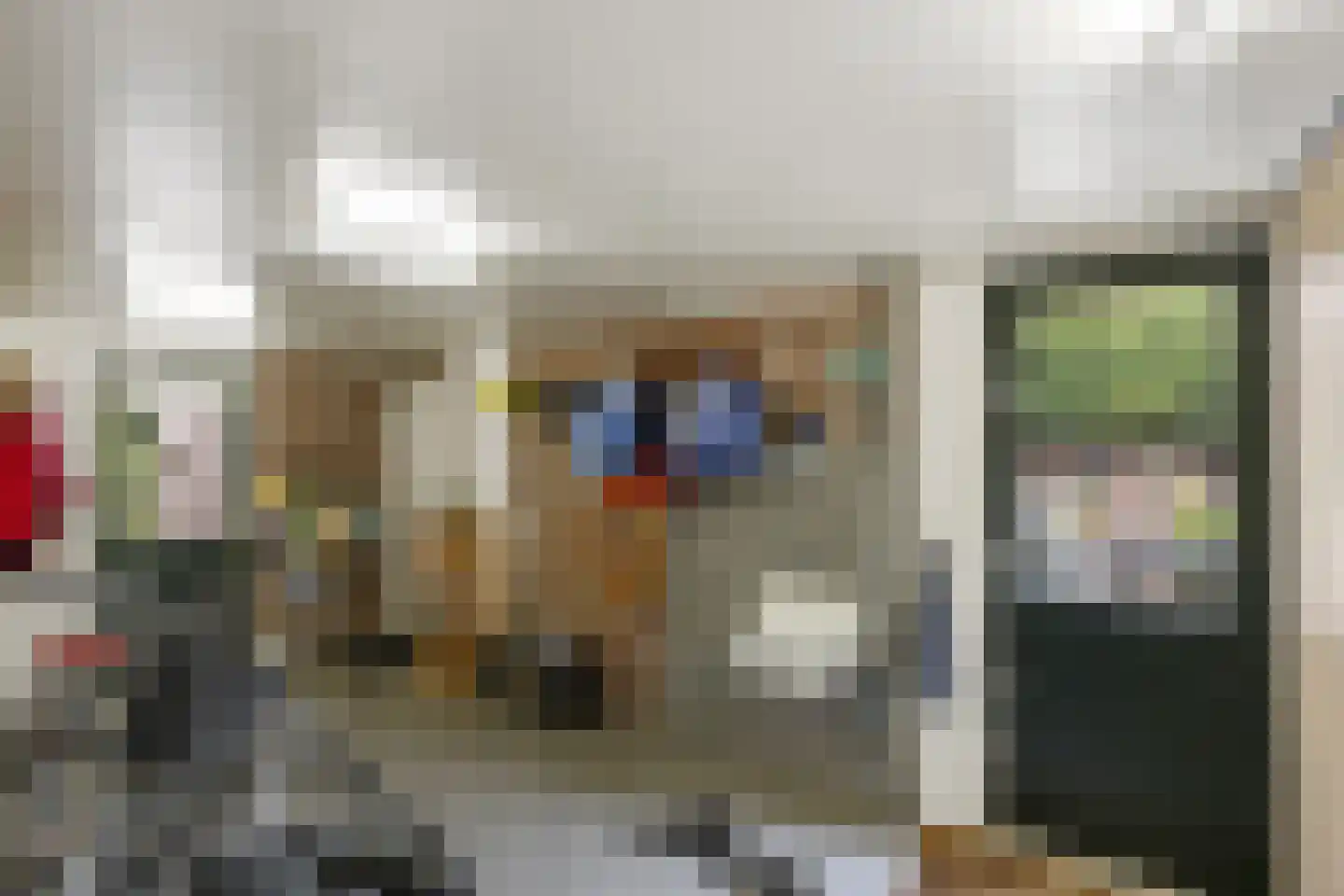 Eekschillerslaan 36 Voorthuizen thumbnail 38
