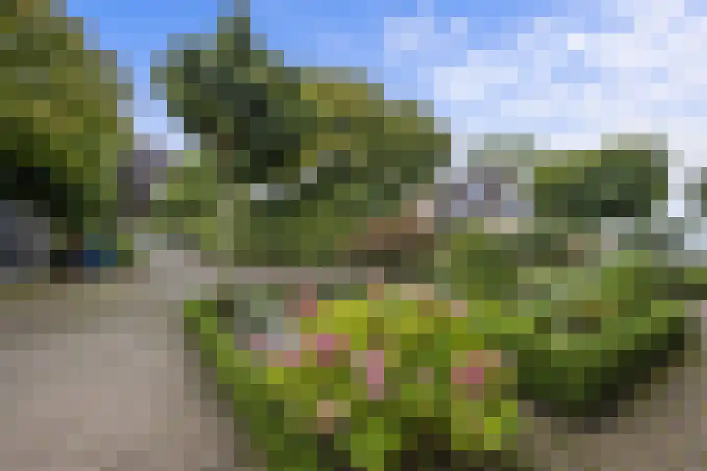 Eekschillerslaan 36 Voorthuizen thumbnail 39