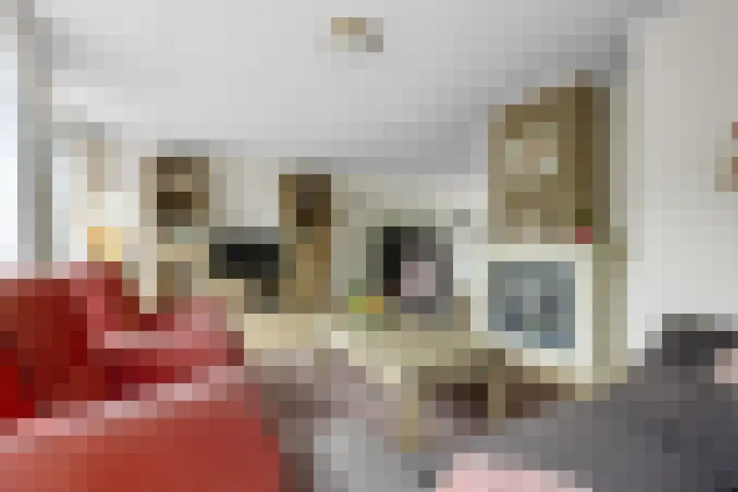 Eekschillerslaan 36 Voorthuizen thumbnail 8
